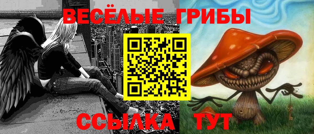 Тулун  Галлюциногенные грибы GOLDEN TEACHER  Вход с VPN 