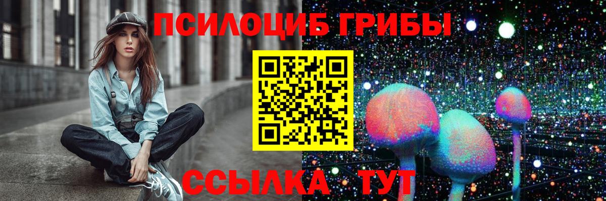 Псилоцибиновые грибы Cubensis Тулун